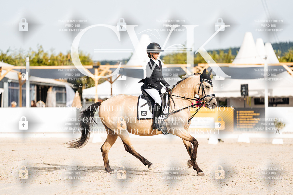 CK904245 | Turnierfotografie Pferdefotografie Trier Rheinland-Pfalz Pferdesport Reitsport Tierfotografie Sportfotografie Pferdevideo Pferdevideografie Equestrianvideography equestrianphotography  - Realisiert mit Pictrs.com