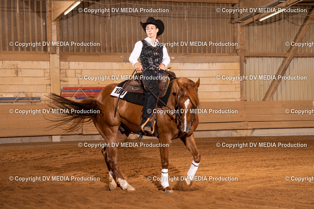 NID01040 | dv-media-shop - Realisiert mit Pictrs.com