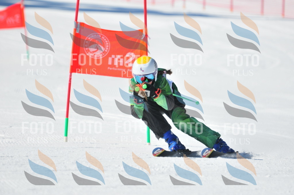 C3227 | holidayphoto