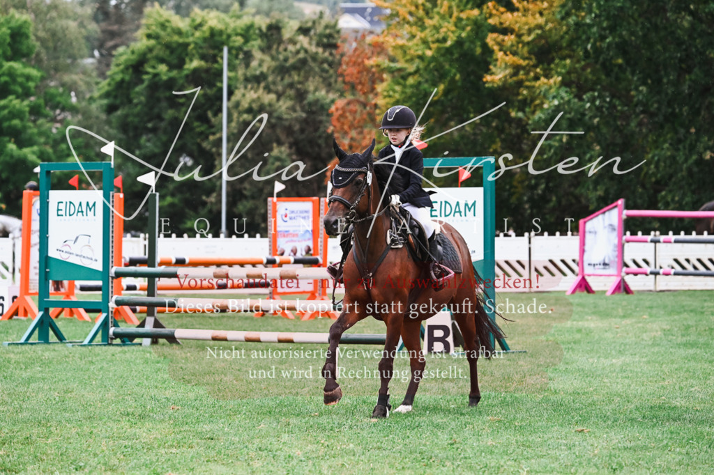 DSC_6272 | Pferde- und Turnierfotografie in Westsachsen. Pferdeportraits, Auftragszeichnungen und intuitive Kunst.