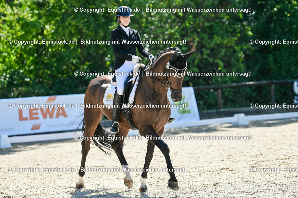 20230908_06_Dressur-L-Trense_0654 | equistock