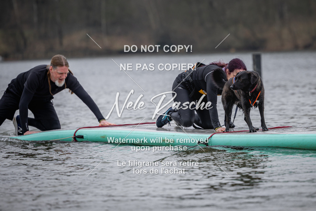 nelerasche_Hulsbeek_Sa1430-1515_403 | nelerasche