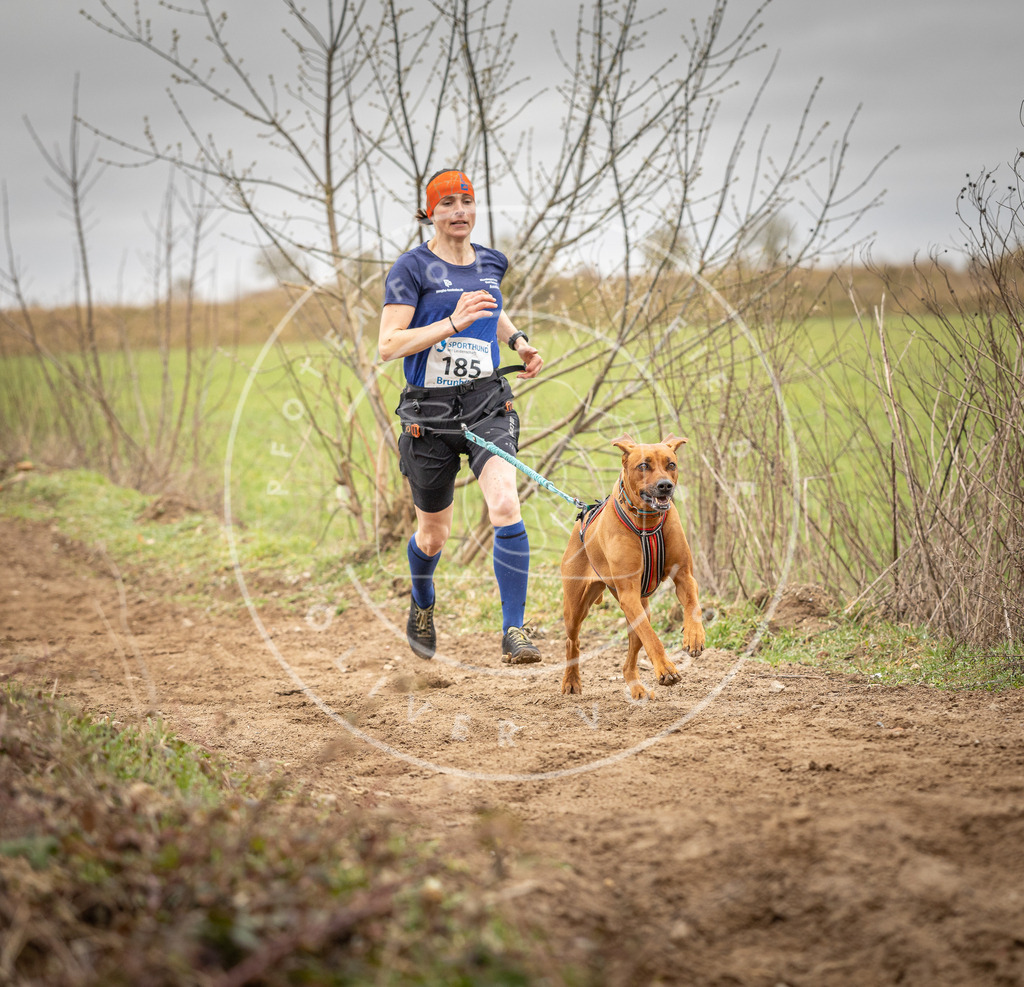 DV3A2150 | Hundefotografie, Tierfotograf, Pfotenfotografie, Fotoshooting Hund, Hunde Portrait, Hundesport, Hundeportraits, Heideshooting, Hunde, Sportfotograf, Hundefotograf, Turnierhundsport, THS,  - Realisiert mit Pictrs.com