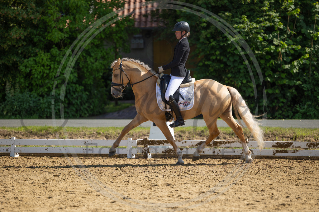 994A3152 | sabrinanicolaifotografie - Realisiert mit Pictrs.com