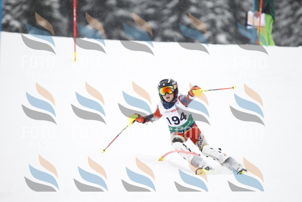 A2061 | holidayphoto