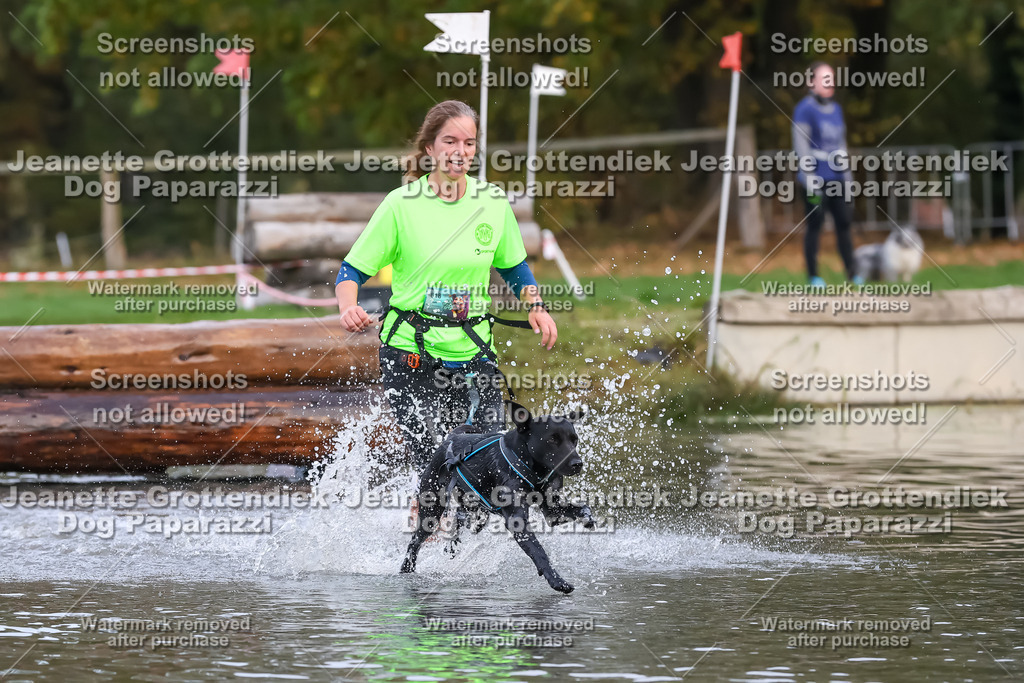 Dog Paparazzi - Strongdog 10-25-6595 | Dog Paparazzi Jeanette Grottendiek Fotografie & Videografie - Realisiert mit Pictrs.com