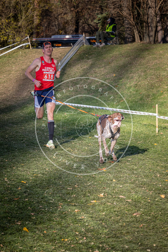 CaniXpix_0L8A8748 | Hundefotografie, Tierfotograf, Pfotenfotografie, Fotoshooting Hund, Hunde Portrait, Hundesport, Hundeportraits, Heideshooting, Hunde, Sportfotograf, Hundefotograf, Turnierhundsport, THS,  - Realisiert mit Pictrs.com