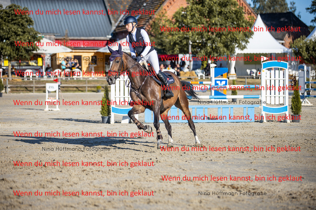 BK1A6146 | Turnierbilder Turnierfotos Nina Hüffmann Turnierfotografie Pferdefotografie Tierzeichnung Haustierzeichnung Pferdezeichnung Hundezeichnung Videograf  - Realisiert mit Pictrs.com