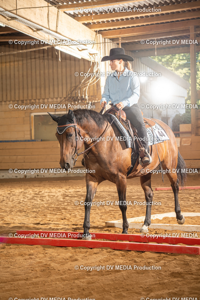 NID02529 | dv-media-shop - Realisiert mit Pictrs.com