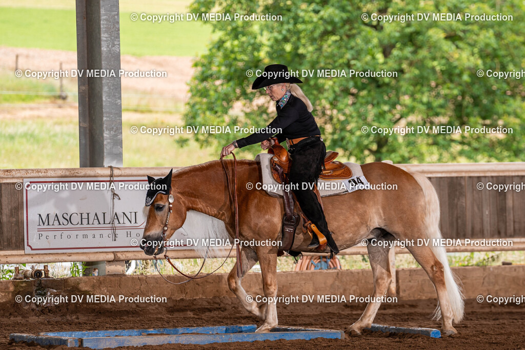 Erbach Tag 2-102 | dv-media-shop - Realisiert mit Pictrs.com