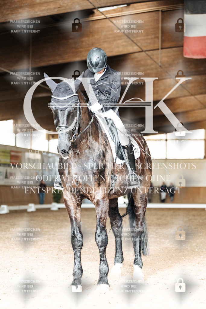 CK902169 | Turnierfotografie Pferdefotografie Trier Rheinland-Pfalz Pferdesport Reitsport Tierfotografie Sportfotografie Pferdevideo Pferdevideografie Equestrianvideography equestrianphotography  - Realisiert mit Pictrs.com