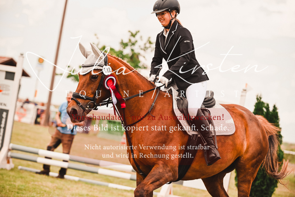 DSC_6995 | Pferde- und Turnierfotografie in Westsachsen. Pferdeportraits, Auftragszeichnungen und intuitive Kunst.