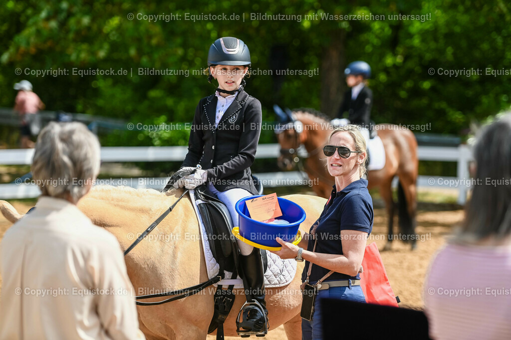 20230716_10-3_Reiter-WB Schritt - Trab - Galopp_0199 | equistock