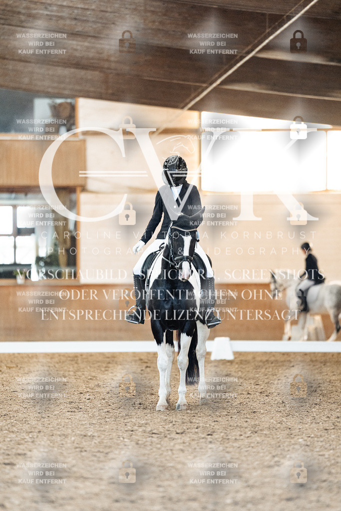 CK907601 | Turnierfotografie Pferdefotografie Trier Rheinland-Pfalz Pferdesport Reitsport Tierfotografie Sportfotografie Pferdevideo Pferdevideografie Equestrianvideography equestrianphotography  - Realisiert mit Pictrs.com