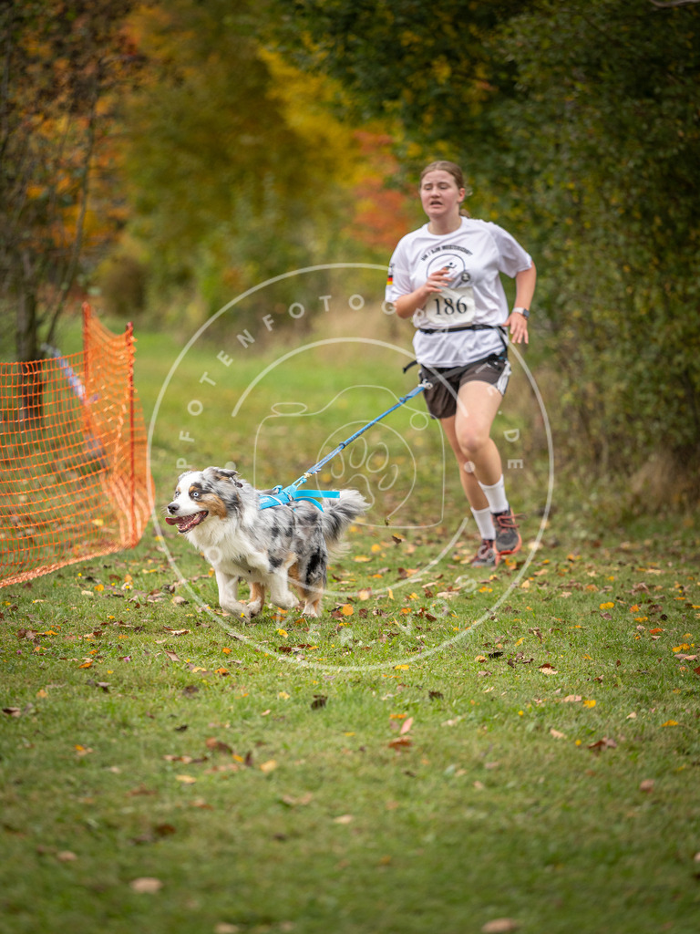 Pfotenfotografie_DV3A3676 | Hundefotografie, Tierfotograf, Pfotenfotografie, Fotoshooting Hund, Hunde Portrait, Hundesport, Hundeportraits, Heideshooting, Hunde, Sportfotograf, Hundefotograf, Turnierhundsport, THS,  - Realisiert mit Pictrs.com
