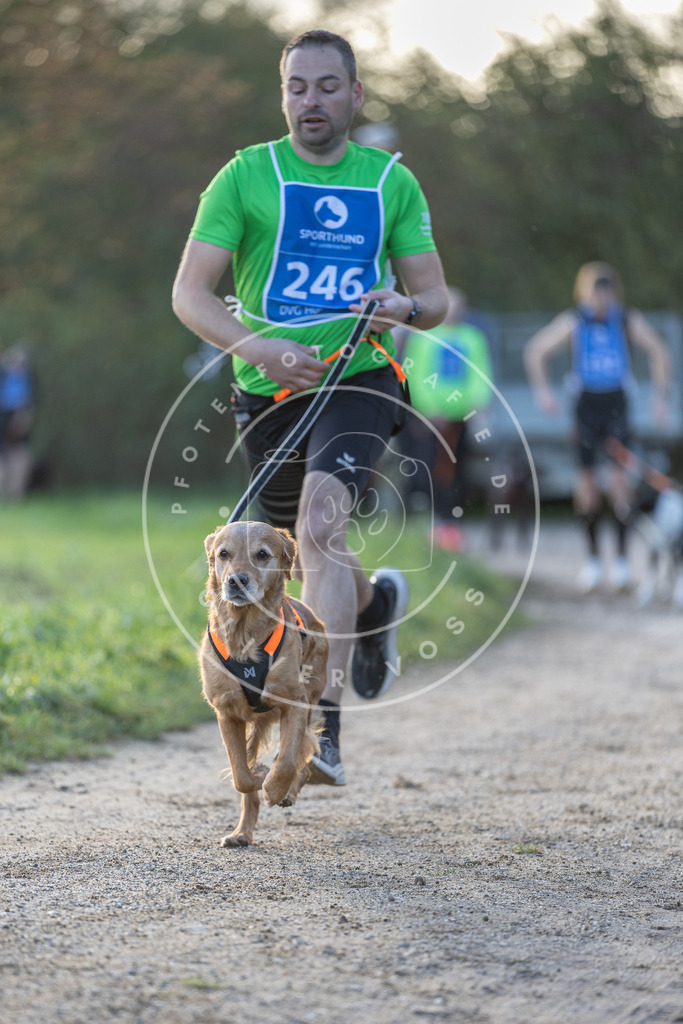 Pfotenfotografie.de_DV3A2724 | Hundefotografie, Tierfotograf, Pfotenfotografie, Fotoshooting Hund, Hunde Portrait, Hundesport, Hundeportraits, Heideshooting, Hunde, Sportfotograf, Hundefotograf, Turnierhundsport, THS, canicross - Realisiert mit Pictrs.com