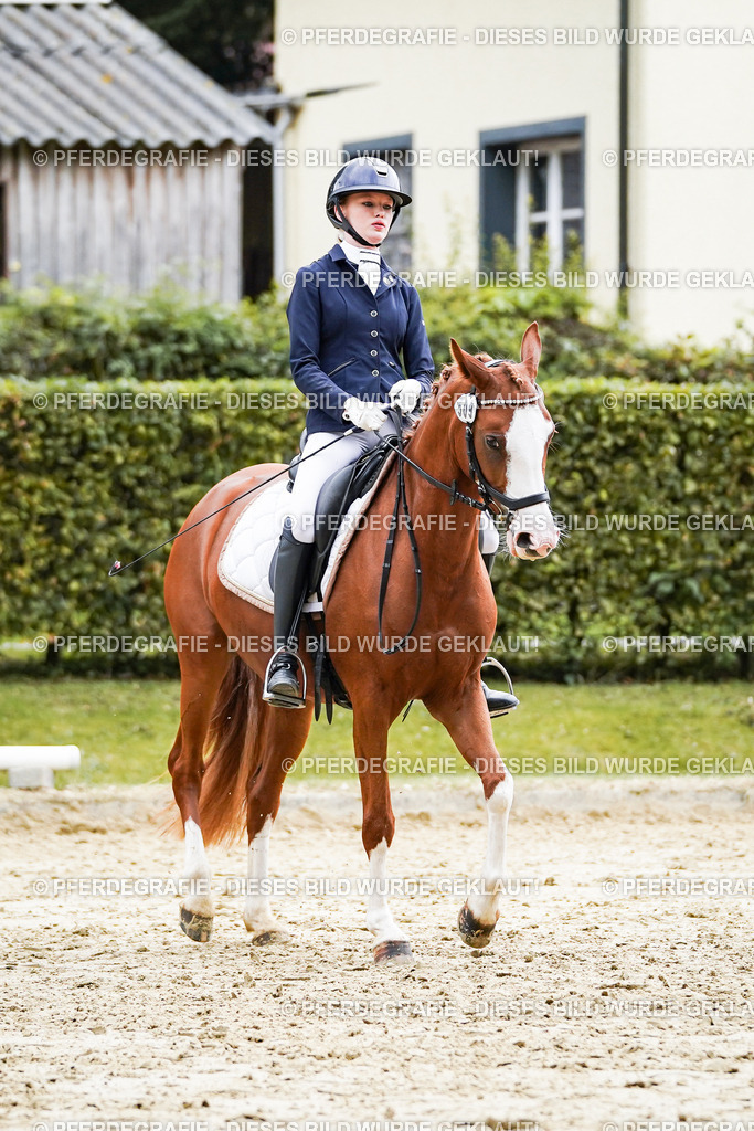 DSC07547 | Pferdegrafie