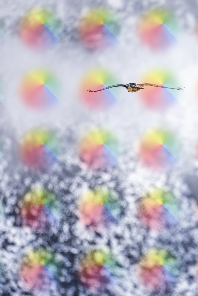 1M5A2657 | FineArtPrint, Hahnemühle, FeeGalerie, Fee Galerie, Fotokunst, Fotografie, Canonphotography, Bergfoto, Matterhorn, Rimpfischhorn, Allalinhorn, Saas-Fee, Wallis, Valais, Switzerland, Bergfotografie