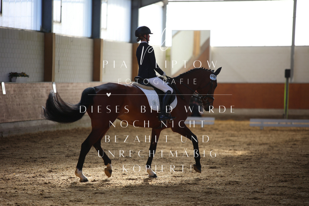 IMGT6154 | pl-fotografie