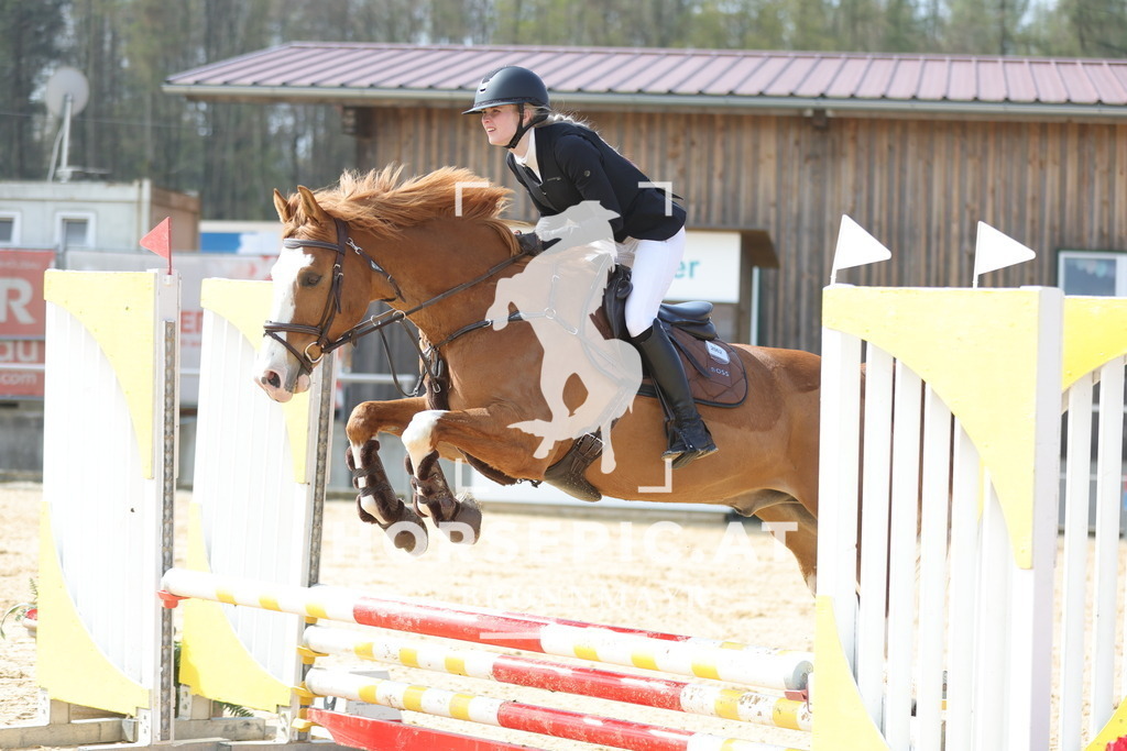 0P6A9604 | Willkommen bei Brunnmayr - Design & Fotografie – Ihrem Spezialisten für Reitturniere und Pferdeveranstaltungen in Oberösterreich, Salzburg und Bayern! Seit über 17 Jahren sind wir leidenschaftlich dabei.