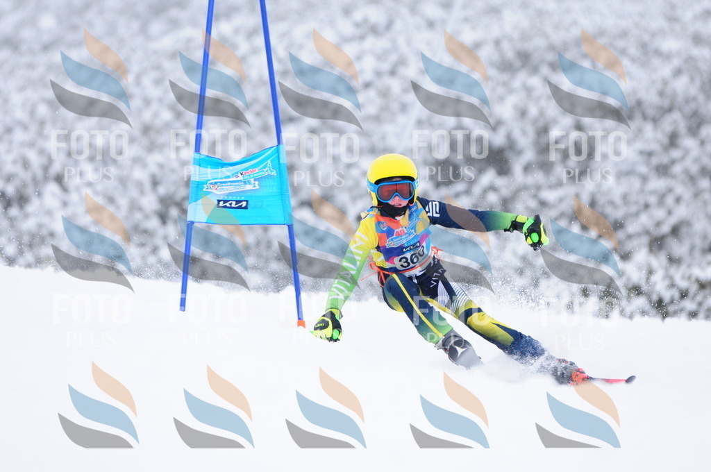 C3845 | holidayphoto