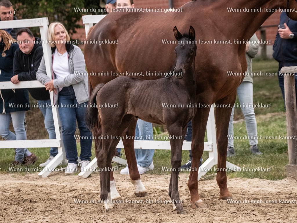 A10I7312 | photographylinaismer - Realisiert mit Pictrs.com