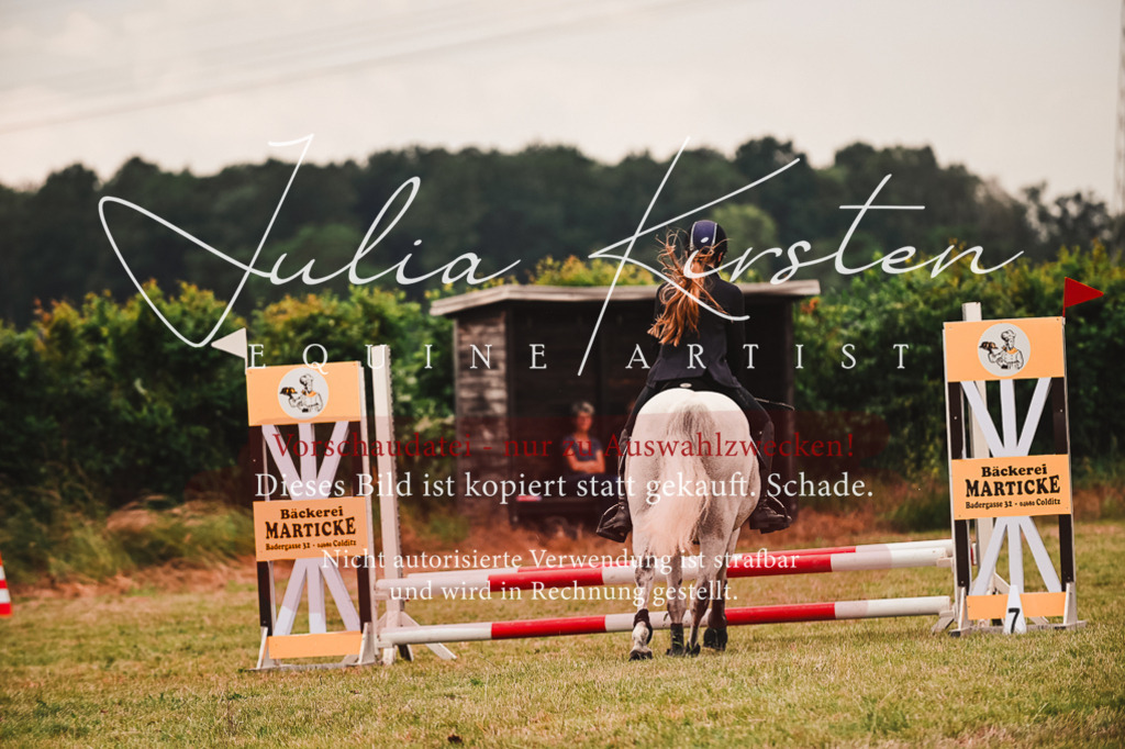 DSC_6981 | Pferde- und Turnierfotografie in Westsachsen. Pferdeportraits, Auftragszeichnungen und intuitive Kunst.