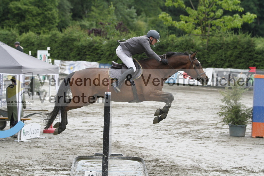 _MG_6487 | equestrian-live-com