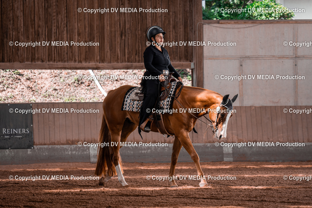 NE100341 | dv-media-shop - Realisiert mit Pictrs.com