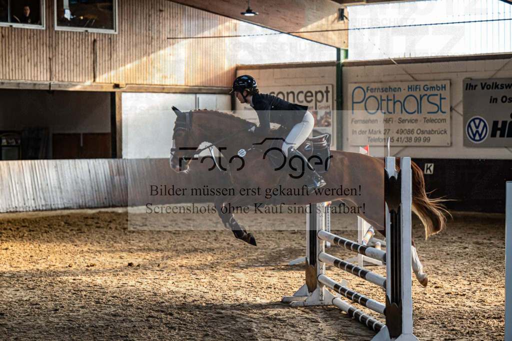 20240308-DOS_2537 | Entdecke hochwertige Reitturnierfotos von Foto Oger. Professionell, emotional und authentisch – jetzt Lieblingsmomente im Shop bestellen.Deutschlandweite Turnierfotografie. - Realisiert mit Pictrs.com