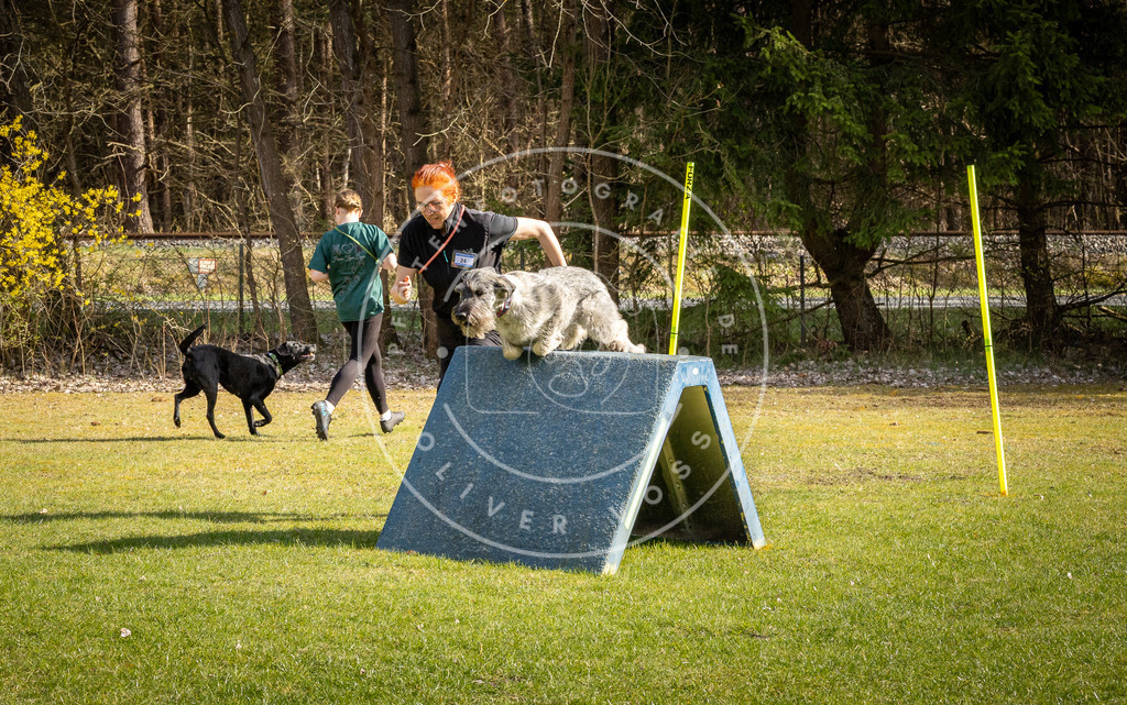 Pfotenfotografie_DV3A2123 | Hundefotografie, Tierfotograf, Pfotenfotografie, Fotoshooting Hund, Hunde Portrait, Hundesport, Hundeportraits, Heideshooting, Hunde, Sportfotograf, Hundefotograf, Turnierhundsport, THS,  - Realisiert mit Pictrs.com