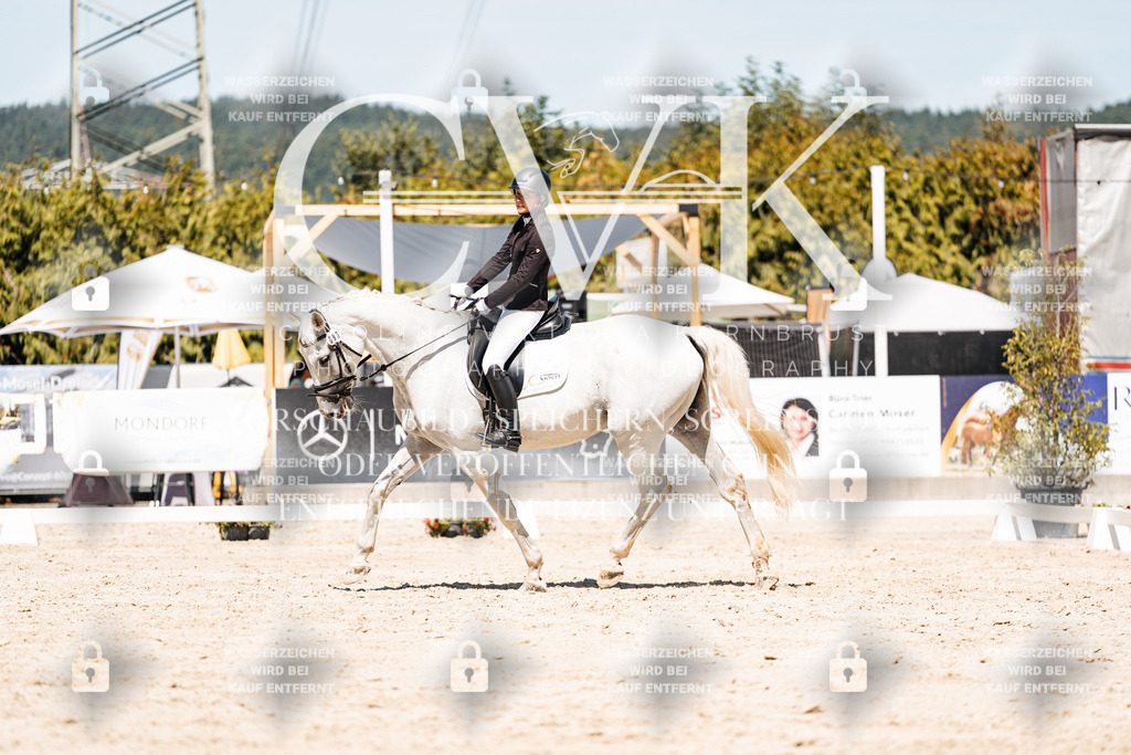 CK909953 | Turnierfotografie Pferdefotografie Trier Rheinland-Pfalz Pferdesport Reitsport Tierfotografie Sportfotografie Pferdevideo Pferdevideografie Equestrianvideography equestrianphotography  - Realisiert mit Pictrs.com