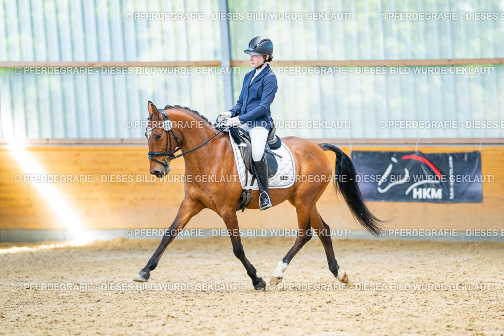 DSC07941 | Pferdegrafie