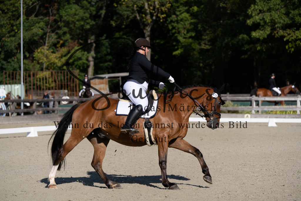 A7V06913 | Turnier/Reitfotograf