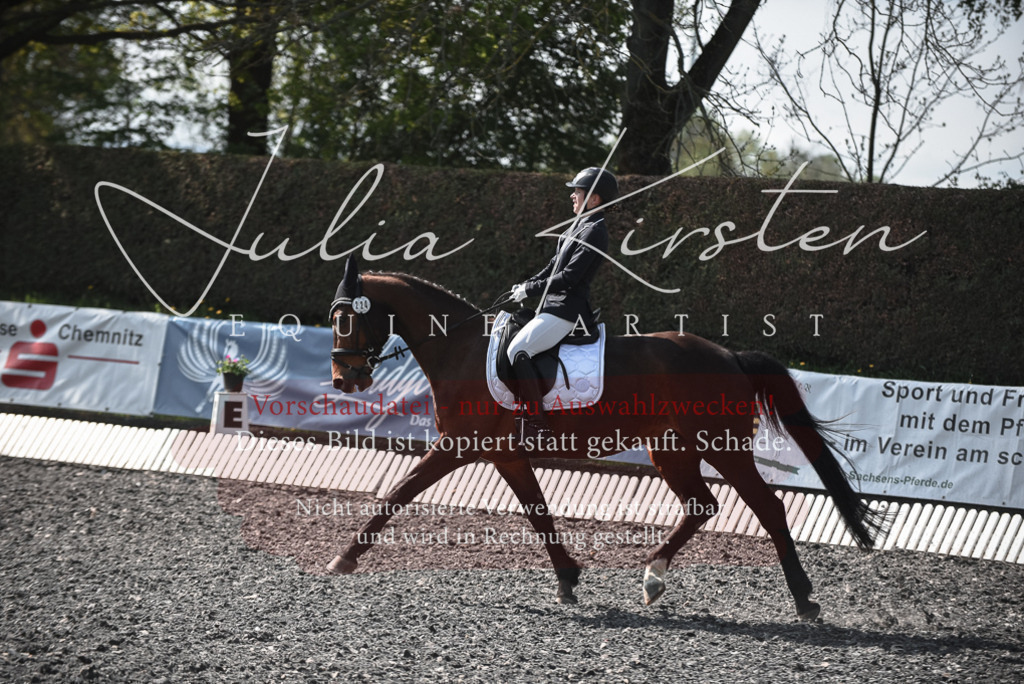 20230513_JK-Röhrsdorf-14-339 | Pferde- und Turnierfotografie in Westsachsen. Pferdeportraits, Auftragszeichnungen und intuitive Kunst.