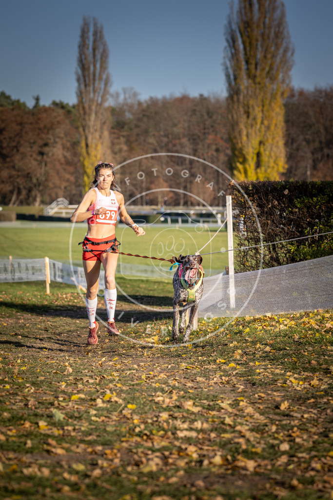 CaniXpix_DV3A1468 | Hundefotografie, Tierfotograf, Pfotenfotografie, Fotoshooting Hund, Hunde Portrait, Hundesport, Hundeportraits, Heideshooting, Hunde, Sportfotograf, Hundefotograf, Turnierhundsport, THS,  - Realisiert mit Pictrs.com