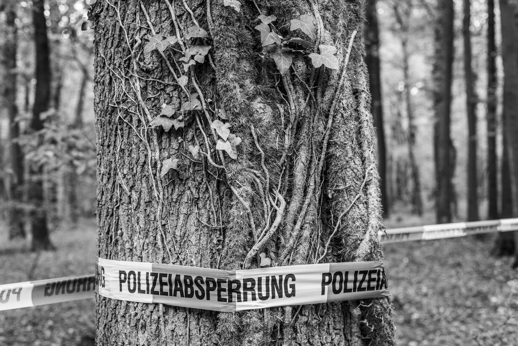 20181002_BL67992 | Hambi, Hambacher Forst 2018 - Realisiert mit Pictrs.com