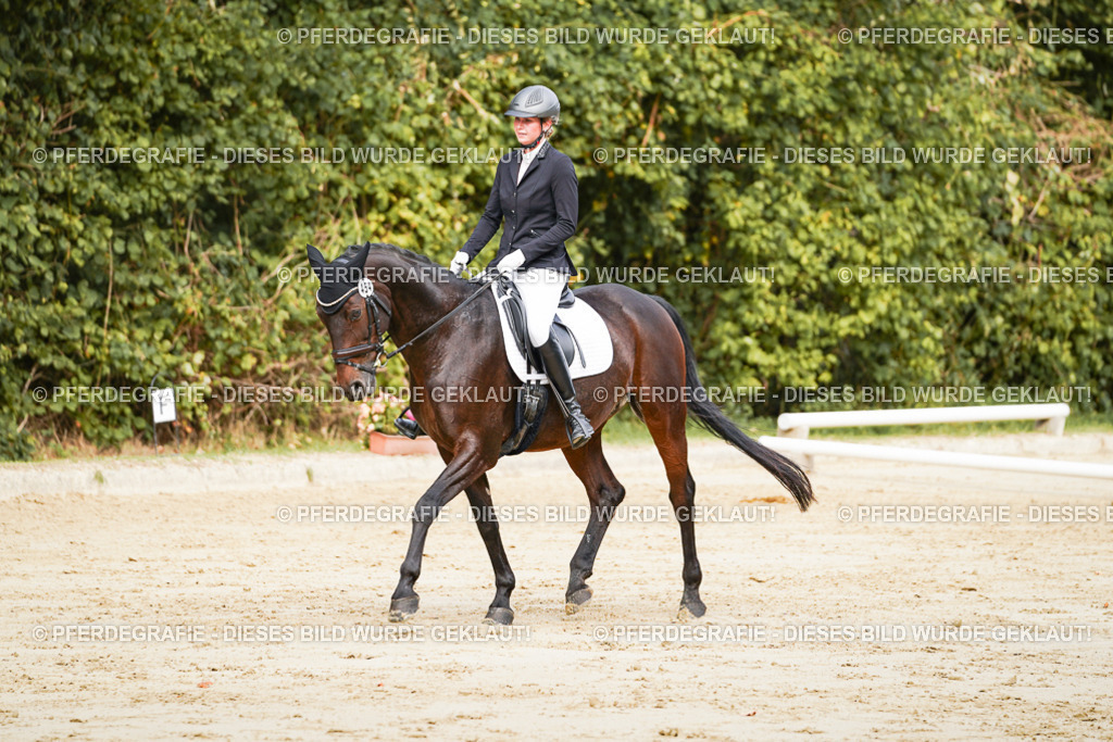 DSC01766 | Pferdegrafie