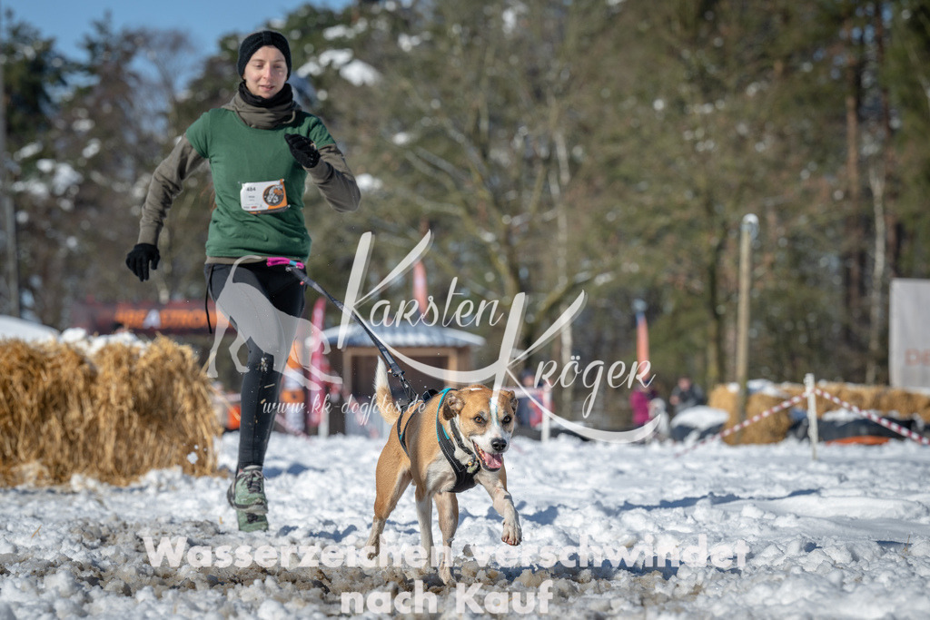 1104_ZZ94687-2 | kk-dogfotos