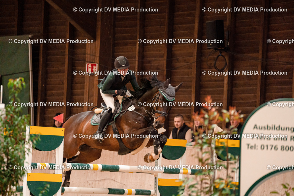 Springen Tag 3-416 | dv-media-shop - Realisiert mit Pictrs.com