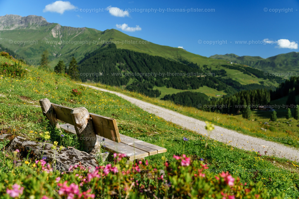 Loschboden Frühsommer copyright  Thomas Pfister-27 | PHOTOGRAPHY BY THOMAS PFISTER