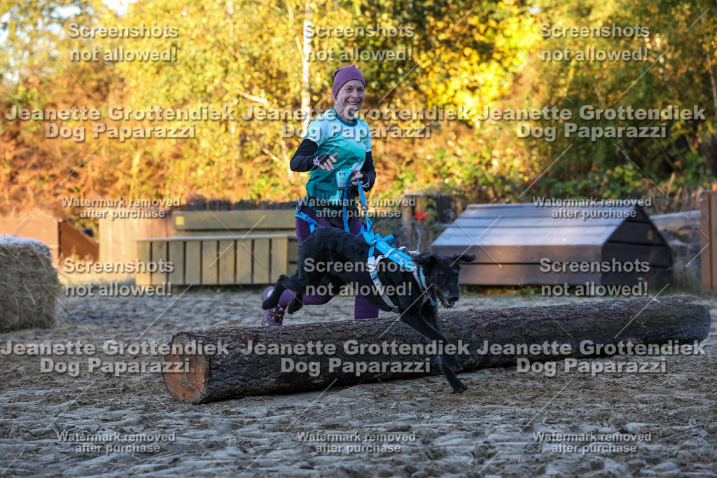 Dog Paparazzi - Strongdog 10-25-520 | Dog Paparazzi Jeanette Grottendiek Fotografie & Videografie - Realisiert mit Pictrs.com