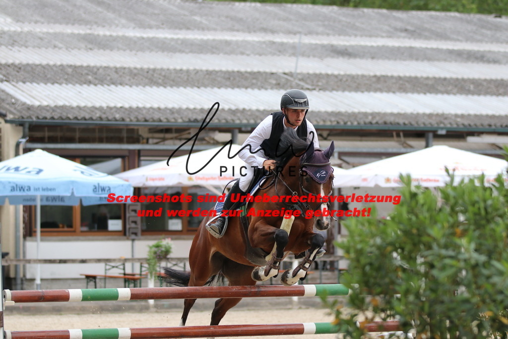 IMG_7853 | lmwpictures - Realisiert mit Pictrs.com