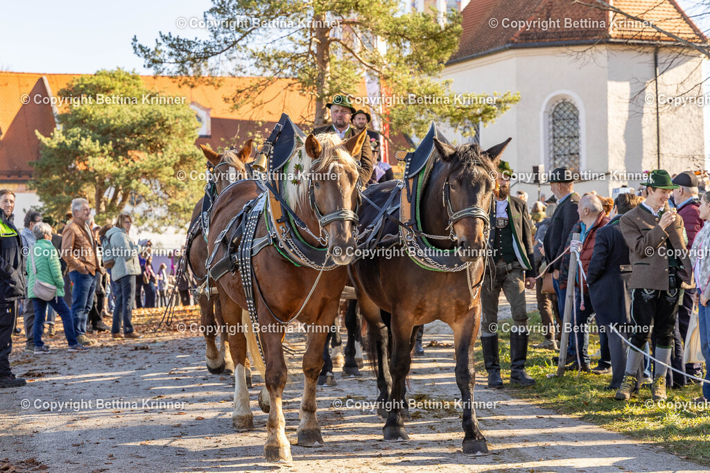 LBT25-1193 | foto-bettina-krinner - Realisiert mit Pictrs.com