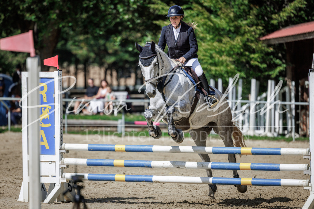 20260905-_3LI9102 | Tierfotografie Pferde, Hunde, Katzen, Haustiere.
Turnierfotografie Reitturniere, Reiten, Springreiten, Dressur in Hanau, dem Main-Kinzig-Kreis und dem Rhein-Main- Gebiet um Frankfurt