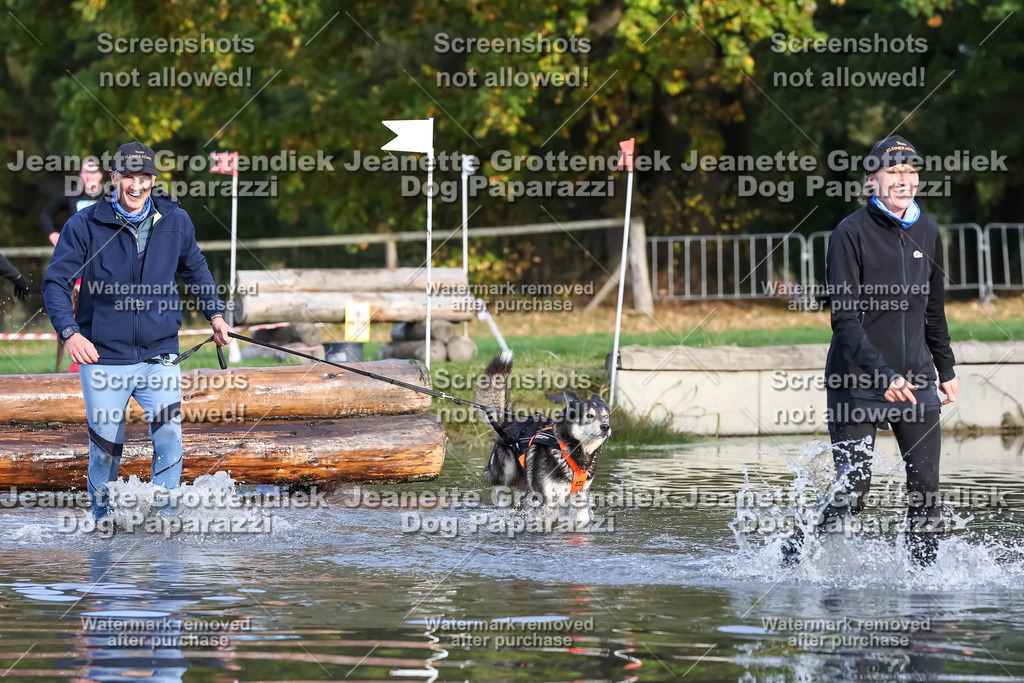 Dog Paparazzi - Strongdog 10-25-7041 | Dog Paparazzi Jeanette Grottendiek Fotografie & Videografie - Realisiert mit Pictrs.com