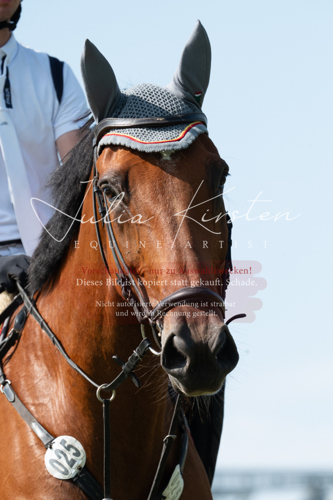 DSC_0895 | Pferde- und Turnierfotografie in Westsachsen. Pferdeportraits, Auftragszeichnungen und intuitive Kunst.