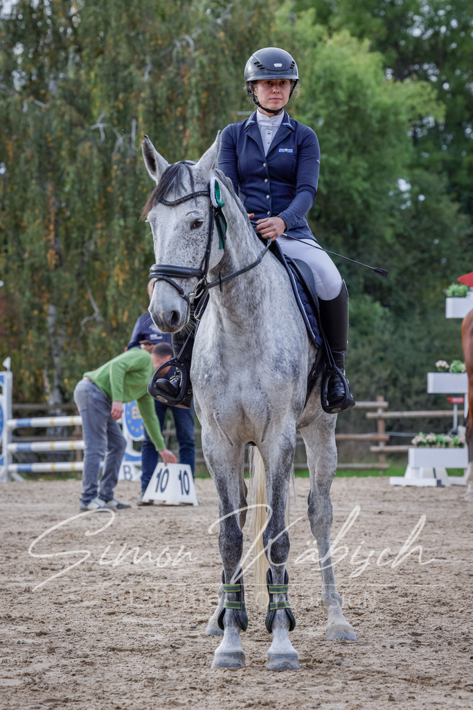 20251012-_3LI5346 | Tierfotografie Pferde, Hunde, Katzen, Haustiere.
Turnierfotografie Reitturniere, Reiten, Springreiten, Dressur in Hanau, dem Main-Kinzig-Kreis und dem Rhein-Main- Gebiet um Frankfurt