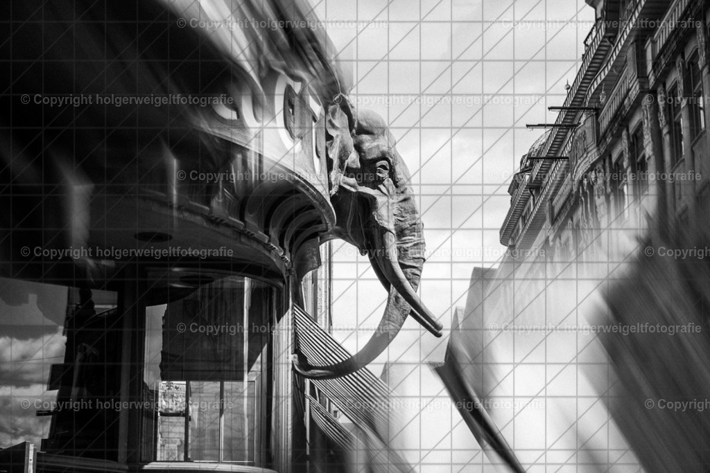 20260703143900Z63_5152 | Kaufen sie online außergewöhnliche Fotografien auf Leinwand Acrylglas Fotoprint Aludibond von holgerweigeltfotografie - Realisiert mit Pictrs.com