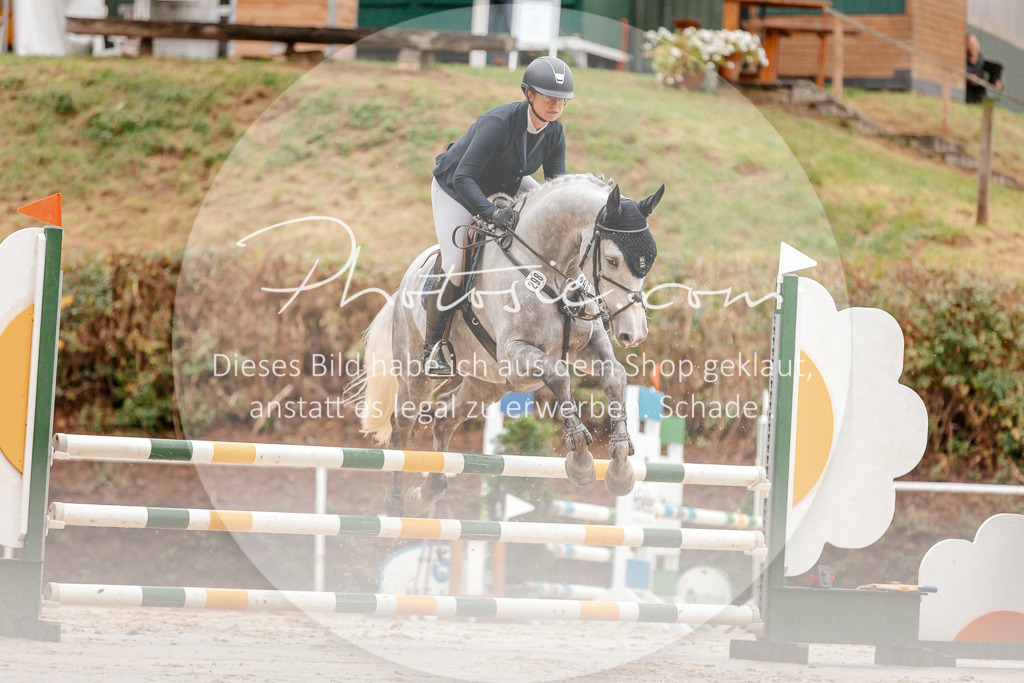 3I6A5819 | Stimmungsvolle Portraits und Reitsportfotografie im Ruhrgebiet und im Münsterland.

Pferdefotografie, Hundefotografie, Tierfotografie, Reportagen, Portraits von Tier und Mensch, Turnierfotografie in Bochum, Recklinghausen, Marl, Haltern am See, Dülmen.. - Realisiert mit Pictrs.com